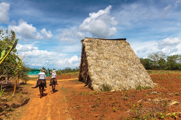 Valle de vinales