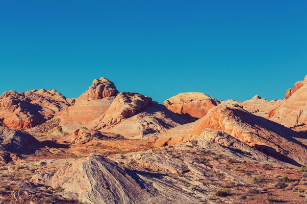 Valley of Fire State Park, Nevada, USA