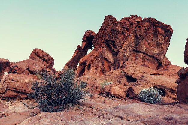 Valley of Fire State Park, Nevada, USA