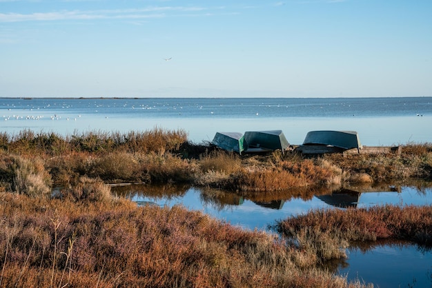 Foto valli di comacchio barche di legno (gebirge von comacchio und barche von legno)