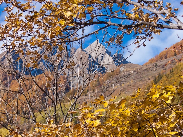 Vallon de la Thuile Elevaz Val daoste Italia