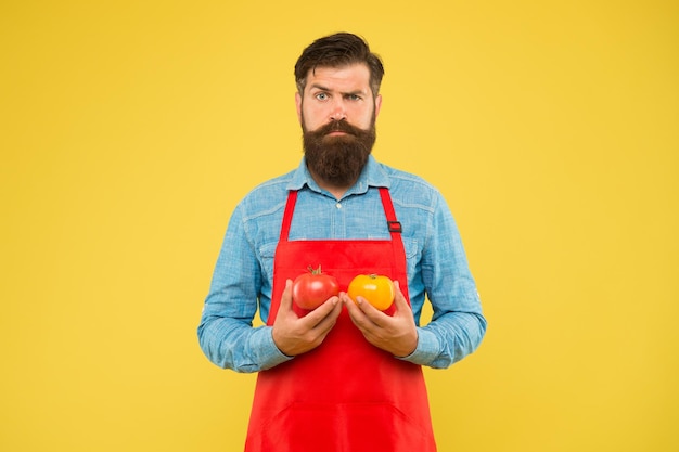 Vamos cozinhar ketchup homem barbudo chef com tomate comida saudável cozinhar dieta de alimentos orgânicos benefícios para a saúde do tomate fonte dietética de vitaminas cozinheiro brutal no avental dicas de alimentação vegetal