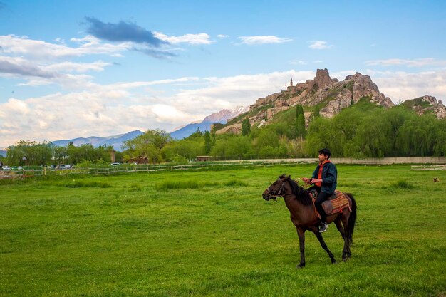 Van-Burg auf einem Berg, Türkei