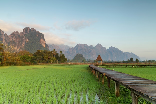 Vang Vieng, Laos