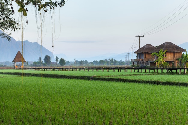 Vang Vieng, Laos