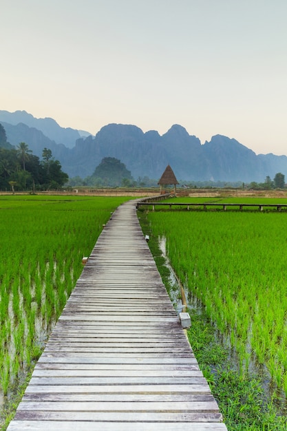 Vang Vieng, Laos