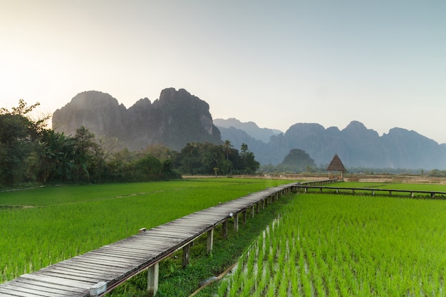 Vang Vieng, Laos