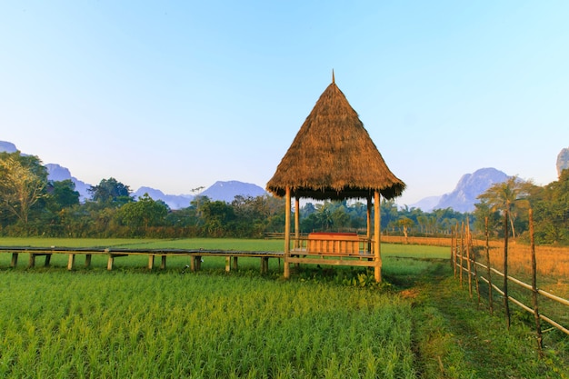 Vang Vieng Resort, Laos