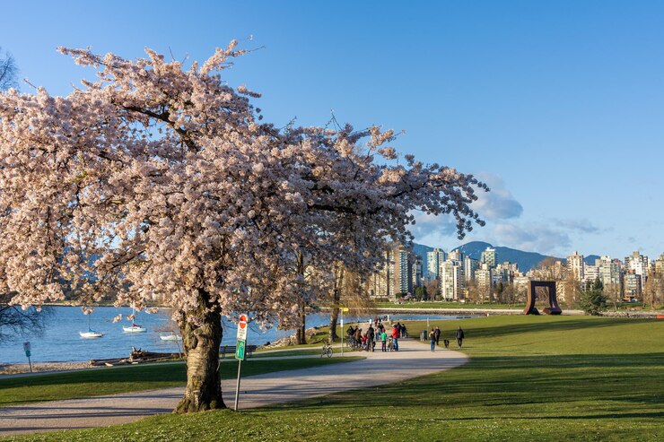 Vanier Park en la temporada de primavera de la ciudad de Vancouver BC Canadá