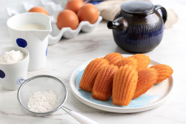 Vanille Madeleine auf weißer ovaler Keramikplatte. Berühmter französischer Süßmuschelgebäckkuchen, der normalerweise mit Zucker bestäubt wird