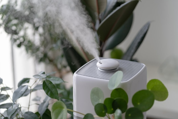Foto vapor do umidificador de ar durante o período de aquecimento cercado por plantas de casa