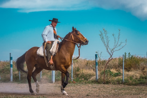 Vaqueiro gaúcho argentino passa com seu cavalo pela câmera na Patagônia