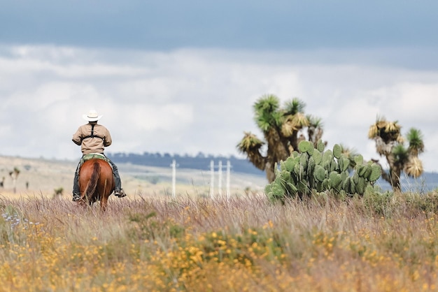 Foto vaquero a caballo en el campo