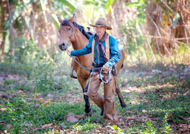 vaquero y caballo en las tierras de cultivo