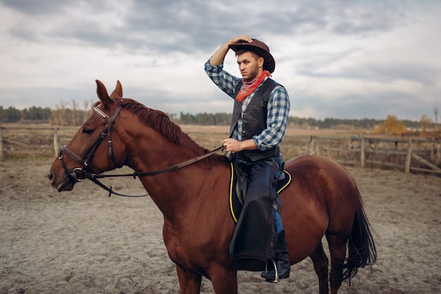 Vaquero a caballo en el valle del desierto, occidental