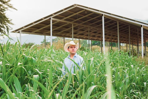 vaquero en la granja