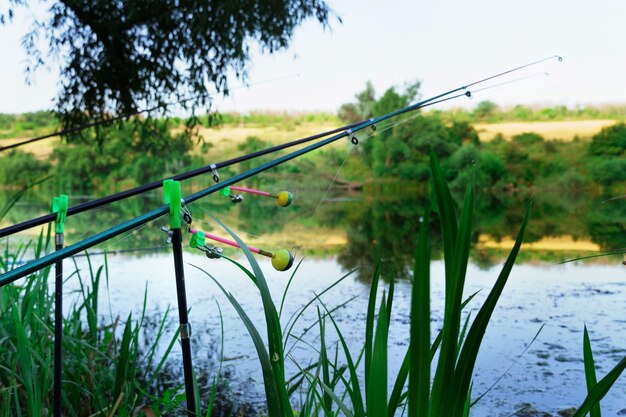 Vara de pesca na margem do rio. pescar ao nascer do sol