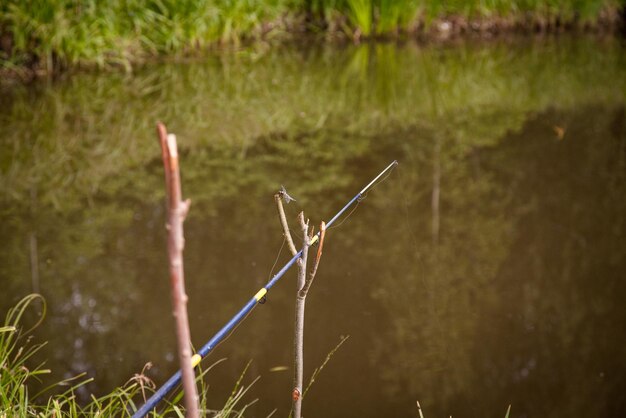 Foto vara de pesca