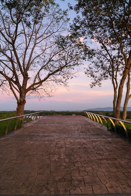 Varanda com plantação de chá e céu crepuscular