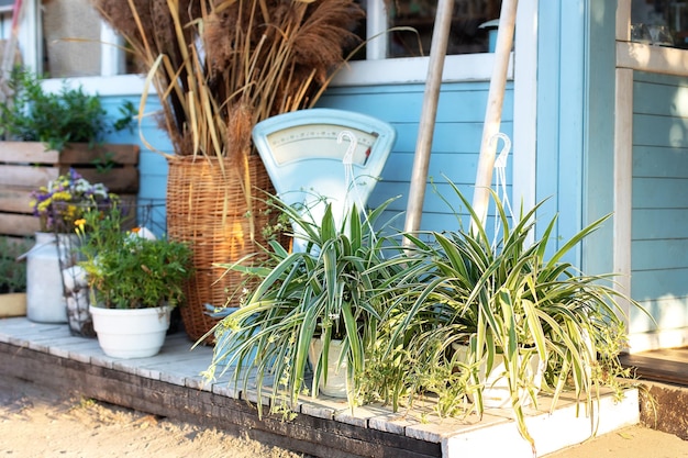 Varanda de decoração aconchegante em casa com plantas verdes no quintal de casa no verão