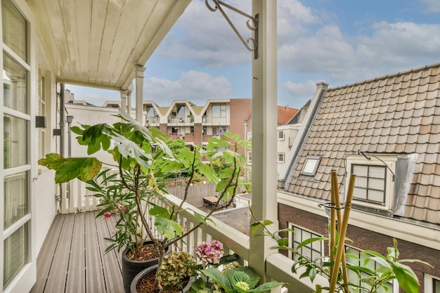 Varanda estreita com plantas no vaso