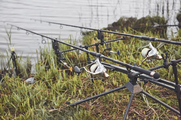 Varas de pesca da carpa que estão em tripés especiais. bobinas caras e um sistema de rádio de crochê