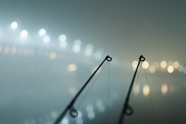 Varas de pesca de carretel de fiação de carpa na noite de neblina. Edição Urbana. Pesca noturna, varas de carpa, luzes da cidade. Noite de neblina.