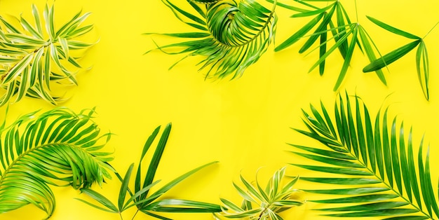 Variações Tropical Palm Leaves Yellow Flat Lay