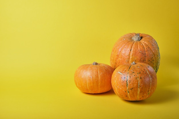 Várias abóboras diferentes em um fundo amarelo com espaço de cópia