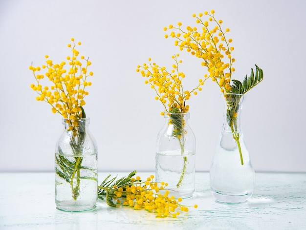 Varias botellas de vidrio con flores amarillas de mimosa se colocan sobre un fondo de vidrio húmedo.