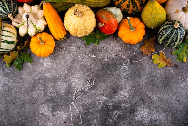 Varias calabazas decorativas cosecha de otoño