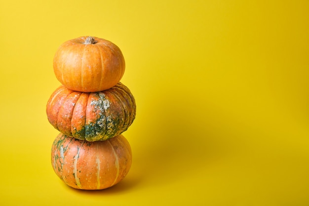 Varias calabazas diferentes sobre un fondo amarillo con espacio de copia