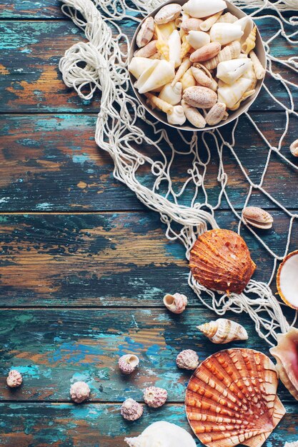 Várias conchas do mar e rede de pesca em fundo azul de madeira