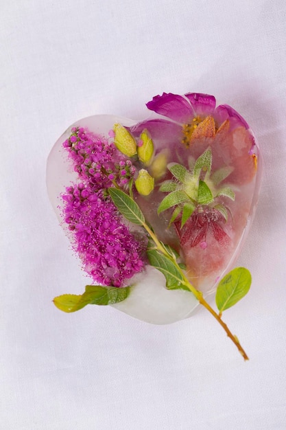 Várias flores em cubos de gelo fundo floral criativo plantas bonitas congeladas