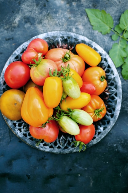 Várias formas e cores de tomates em uma placa de metal