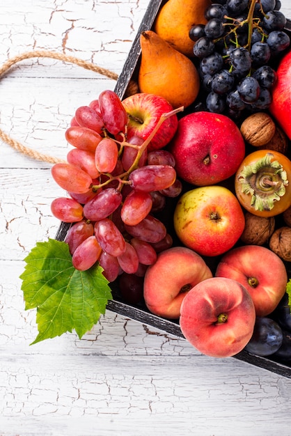 Varias frutas de otoño. Concepto de cosecha