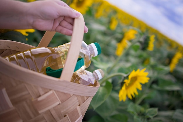 Várias garrafas de óleo de girassol dourado em uma cesta de vime no contexto de um campo de girassóis florescendo em um espaço de cópia ensolarado