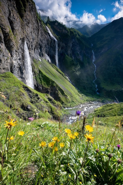Várias grandes cachoeiras caindo de um penhasco íngremeCom flores em primeiro plano