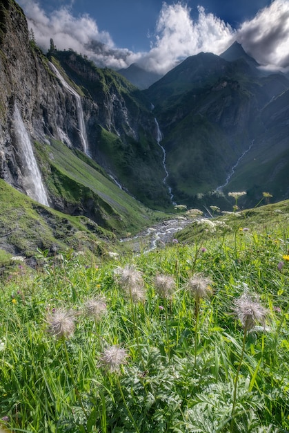 Várias grandes cachoeiras caindo de um penhasco íngremeCom flores em primeiro plano