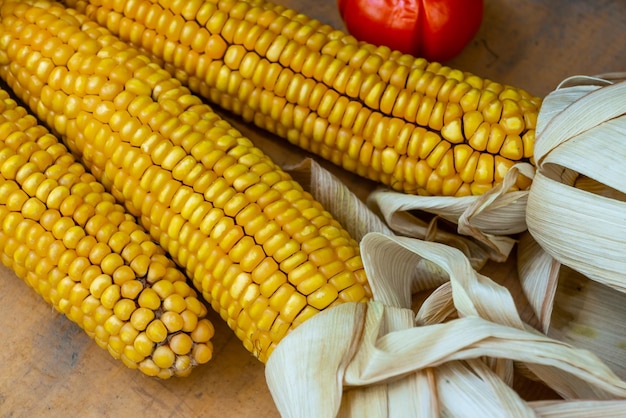 Varias mazorcas de maíz secas