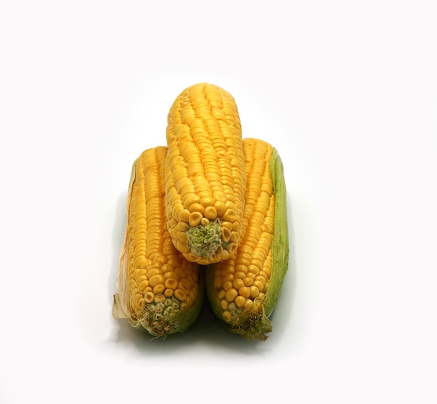 Varias mazorcas de maíz sobre un fondo claro Producto natural Estructura natural Color natural Primer plano