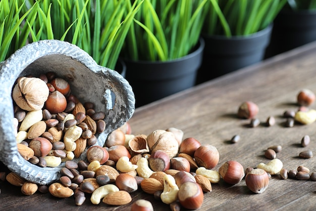 Varias nueces útiles y sabrosas en una mesa de madera y macetas con pasto verde