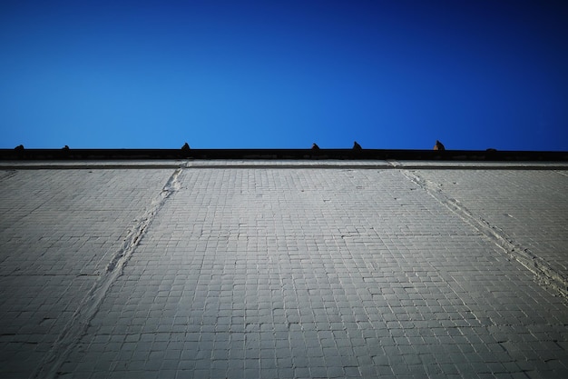 Foto varias palomas sentadas en el techo de fondo