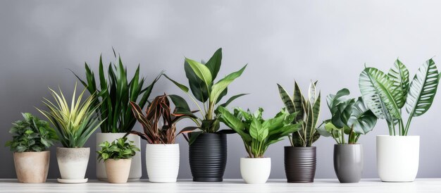 Várias plantas falsas diversas em vasos na mesa de madeira branca perto da parede cinza