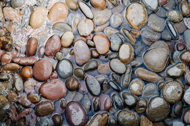 Varias rocas en el río