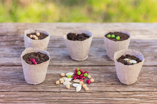 Várias sementes e vasos de solo em uma mesa de madeira rústica primavera plantio precoce para mudas de jardinagem agricultura cultivo de produtos orgânicos