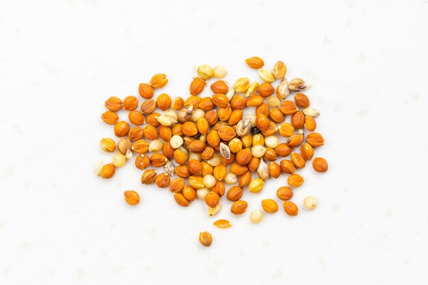 Foto varias semillas de mijo siberiano chumiza de cerca