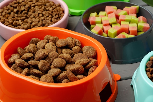 Foto várias tigelas para animais de estimação com comida seca em fundo de madeira cinza