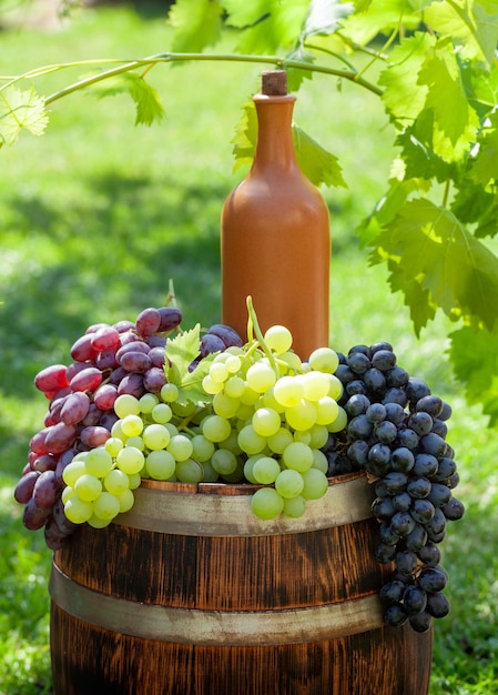 Varias uvas coloridas y botella de vino.