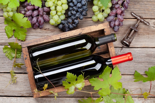 Varias uvas coloridas y botellas de vino.